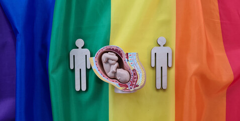 Foster parents of lesbian and gay surrogacy in the world