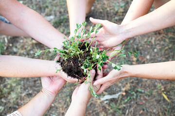 group of people joining hands