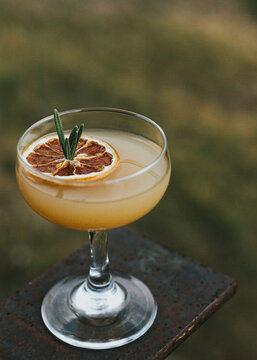 Lemon Rosemary Cactus Spirit 