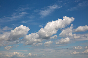 Fototapeta na wymiar blue cloudy sky background on a summer day