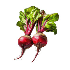Beetroot - purple vegetables, ingredients for drinks and food on transparent background