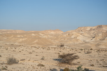 Fototapeta na wymiar Negev Desert landscape in southern Israel during the summer. Desert volcanic rocks nature