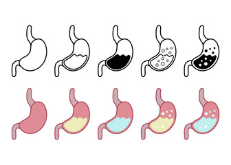 human stomach graphic design. metabolism icons. digestive system concept. illustration