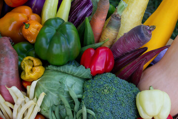A colorful arrangement of fresh harvested vegetables.
