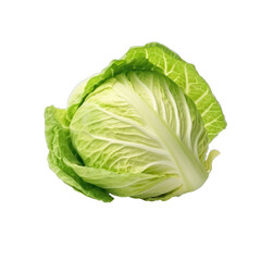 Fototapeta premium cabbage - Vegetables used as food ingredients on transparent background