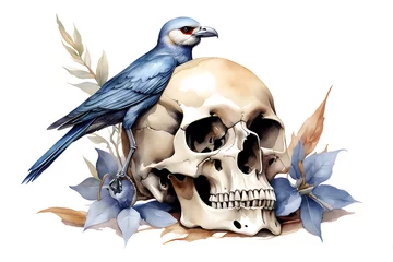Photo sur Plexiglas Crâne aquarelle skull and bird watercolor background