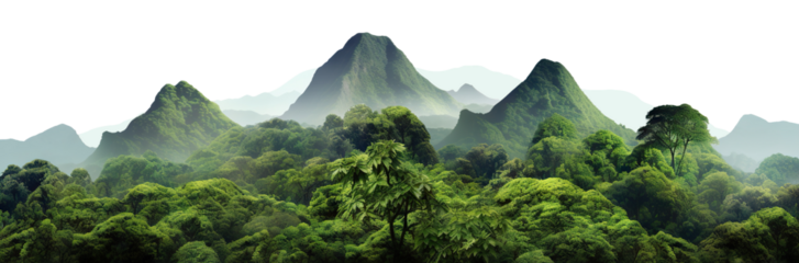 Lush green tropical rainforest landscape with misty mountains at dawn, cut out
