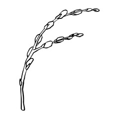 Black contour linear silhouette willow branches isolated on white background. Vector simple line graphic illustration spring plants. simple drawing plant element for the design © Irina