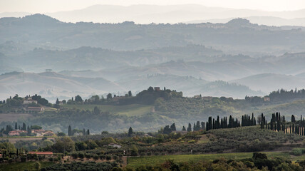 Typical Tuscan landscape with hills and cypresses in the very early morning near Montaione