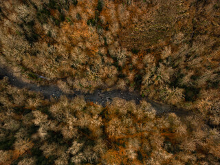 Obraz na płótnie Canvas autumn forest and river drone view