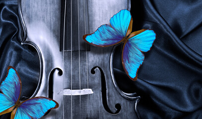 colorful blue tropical morpho butterflies on a violin. melody concept