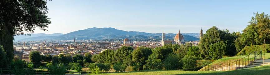Wall murals Florence Panorama view of Palazzo Pitti from Boboli Garden in Florence with Cathedral of Santa Maria del Fiore on the right. Italy