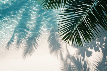 Fototapeta na wymiar Tropical leaf shadow on water surface.