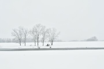 Lake and Trees in a Snowy Field