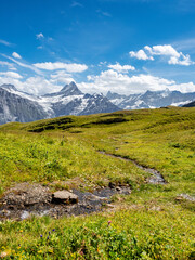 Fototapeta na wymiar view of the snow-capped mountains from Grindelwald First (Switzerland) in summertime