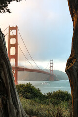 Naklejka premium Golden Gate Bridge in San Francisco with trees