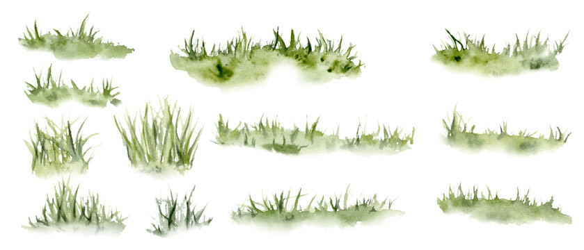 Set of watercolor grass. Hand drawn light green withered herb pattern in the sun. Sketch abstract burnt spring fresh grass kit. Illustration on isolated white background