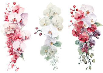 Three Different Types of Flowers on White Background