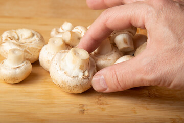 Cooking mushrooms with eggs and onions. Cooking at home. A series of photos.