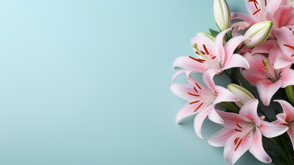 Fototapeta na wymiar flowers pink lilies on a blue background composition copy space template for text