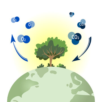Concept problem of carbon on Earth. Trees releasing oxygen and absorbing carbon dioxide, environmental protection, planting trees on earth. Big green trees and O2 and CO2 molecules