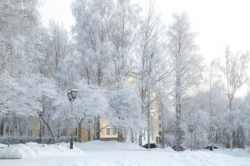 Frost on the trees.Very cold weather on the face of the city.