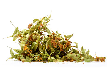 Dried linden leaves and flowers on a white background