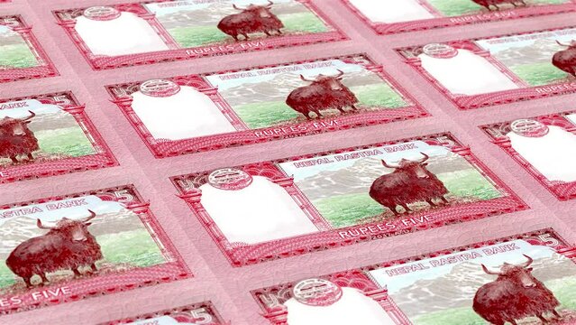 Nepal Nepalese Rupee 5 Banknotes Money Printing House, Printing Five Nepalese Rupee, Printing Press Machine Print out Nepalese Rupee, Being printed by currency press machine 5 Nepalese Rupee