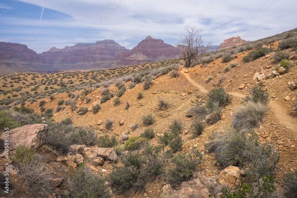 Wall mural hiking the tonto trail in the grand canyon national park, arizona, usa