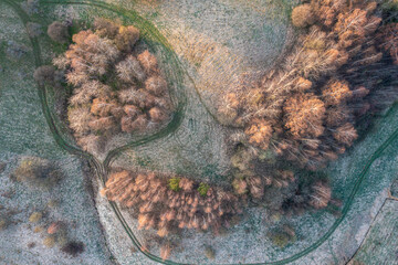 Leśna polana © Maciej G. Szling