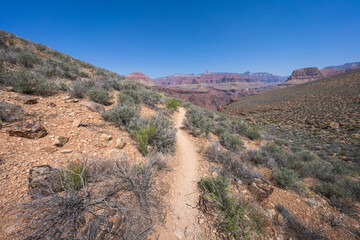 hiking the tonto trail in the grand canyon national park, arizona, usa