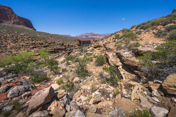 hiking the tonto trail in the grand canyon national park, arizona, usa
