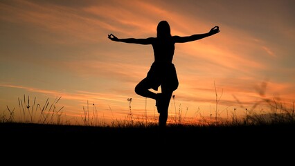 woman, happiness woman, silhouette, beautiful cute sporty woman, meditation, happy, performing yoga exercises, mood, prayer, portrait gorgeous young, beautiful girl practicing asana, breathing lungs