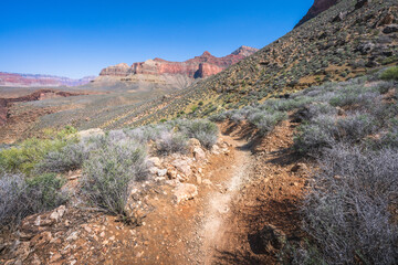 hiking the tonto trail in the grand canyon national park, arizona, usa