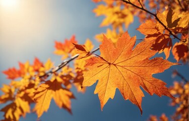 Naklejka na ściany i meble Colorful maple tree leaf in peaceful autumn forest landscape.. 