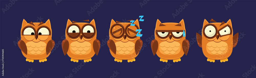 Poster funny owlet bird with feathers have face emotion vector set