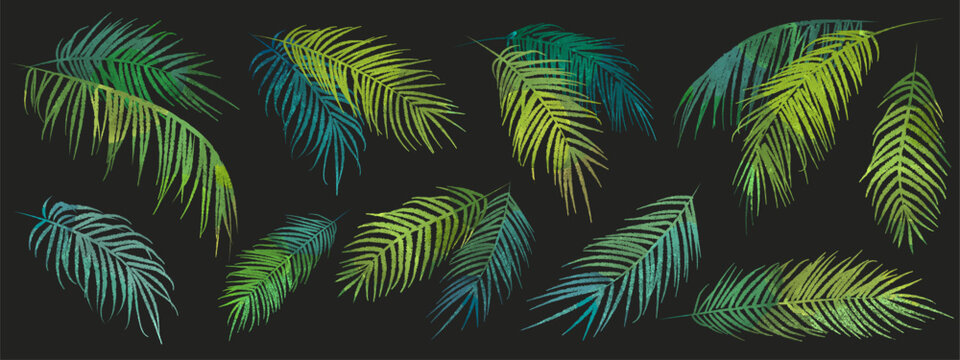 Set of hand drawn watercolor green palm leaves isolated on black background. Vector illustration of tropical leaves