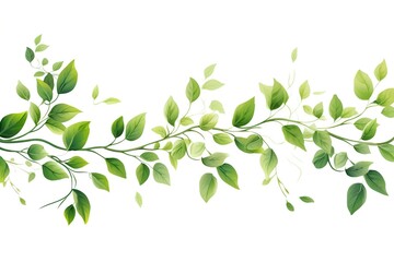 Fototapeta na wymiar Illustration of tree branch with green leaves on white background