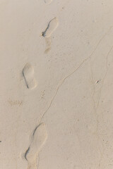 footprints on the white sands of the Maldives