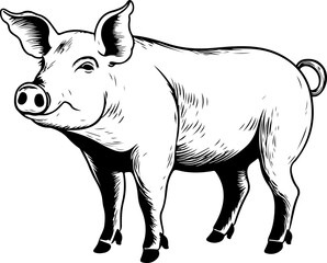 Pig SVG bundle, Pig SVG, pig face SVG, pig head svg, pig silhouette svg, pig face silhouette svg, show pig svg, cartoon pig svg,some pig svg