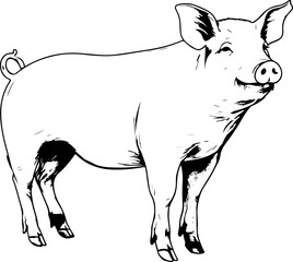 Pig SVG bundle, Pig SVG, pig face SVG, pig head svg, pig silhouette svg, pig face silhouette svg, show pig svg, cartoon pig svg,some pig svg