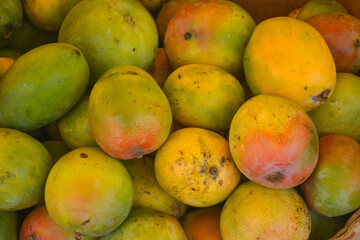 Close-up of fresh mangoes in the market. 