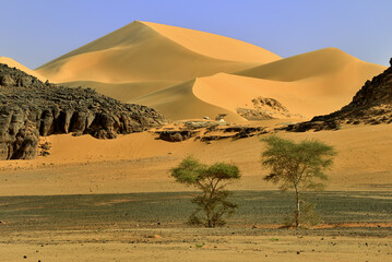 Fototapeta na wymiar SAHARA DESERT WITH SAND DUNES IN SOUTHERN ALGERIA AROUND DJANET OASIS