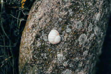 landscape on an old stone