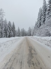 Fototapeta premium road in winter