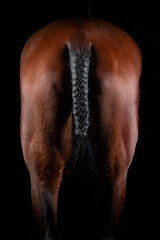 Black braided horsetail on brown horse