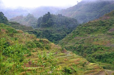 View of the rice terraces of Banaue, Philippines