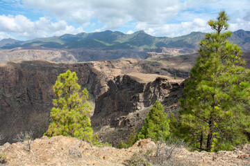 Panoramic view of the  mountains on the island of Gran Ganaria with pine trees