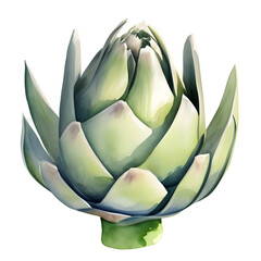 Fototapeta premium illustration of artichoke isolated transparent background