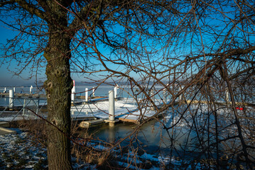 Drzewa na przystani Włocławek